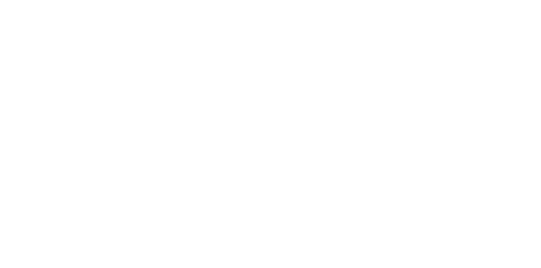 Morlot Group Logo