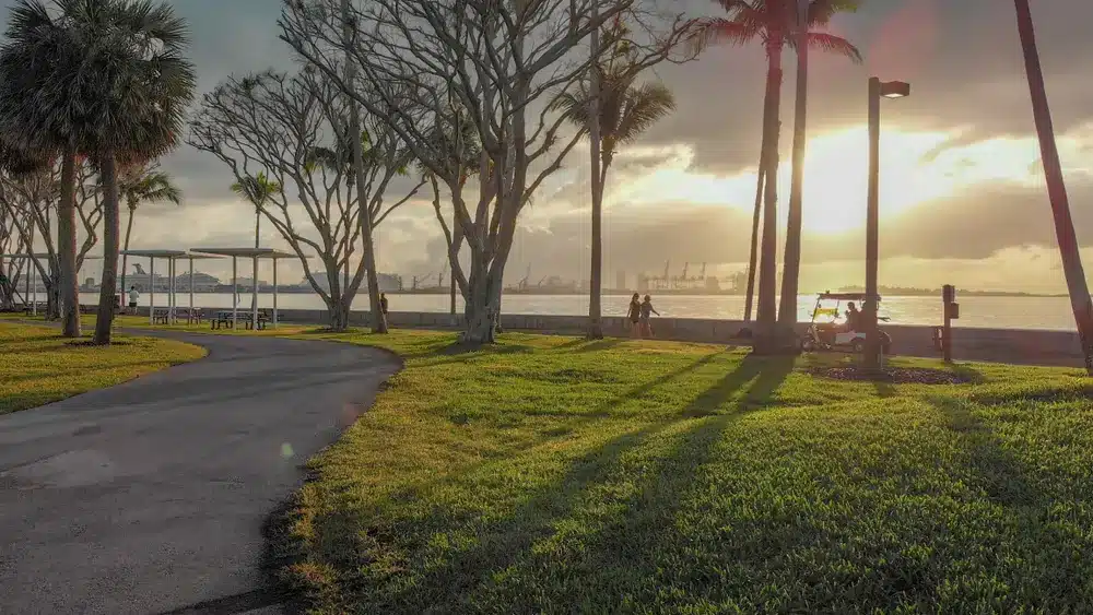 Sunset view of a waterfront park in Miami with palm trees, grassy lawns, walking path, and people relaxing by the bay as the sun sets.