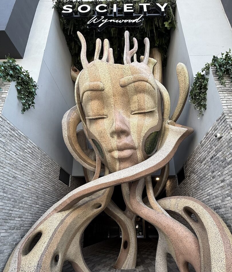 Large public art sculpture at Society Wynwood in Miami featuring an abstract human face with flowing organic forms.