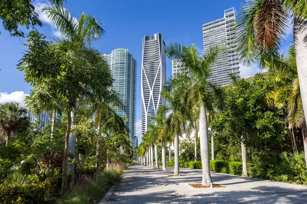Palm-lined pedestrian walkway in Downtown Miami with modern high-rise towers, lush landscaping, and a walkable urban setting.