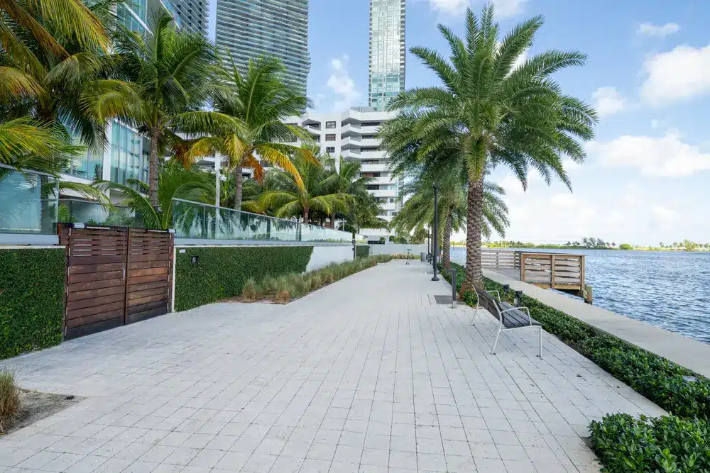 Bayfront walking path in Edgewater Miami lined with palm trees, modern condos, seating areas, and views across Biscayne Bay.