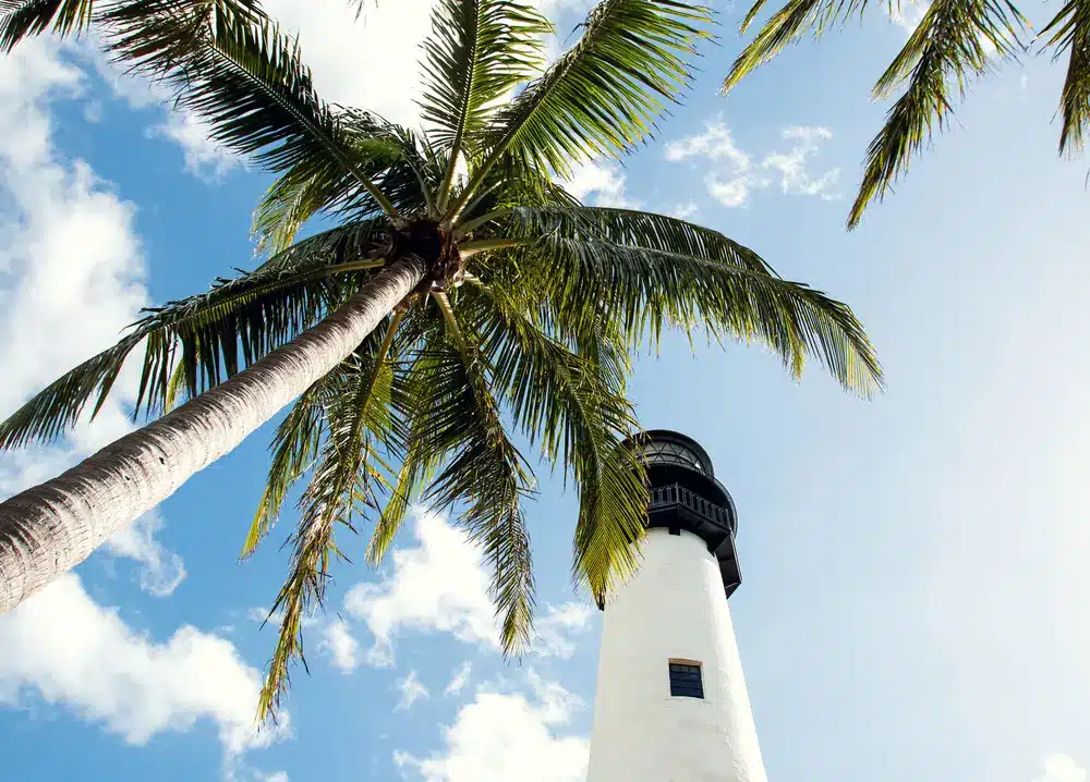 Cape Florida Lighthouse in Key Biscayne framed by palm trees against a blue sky