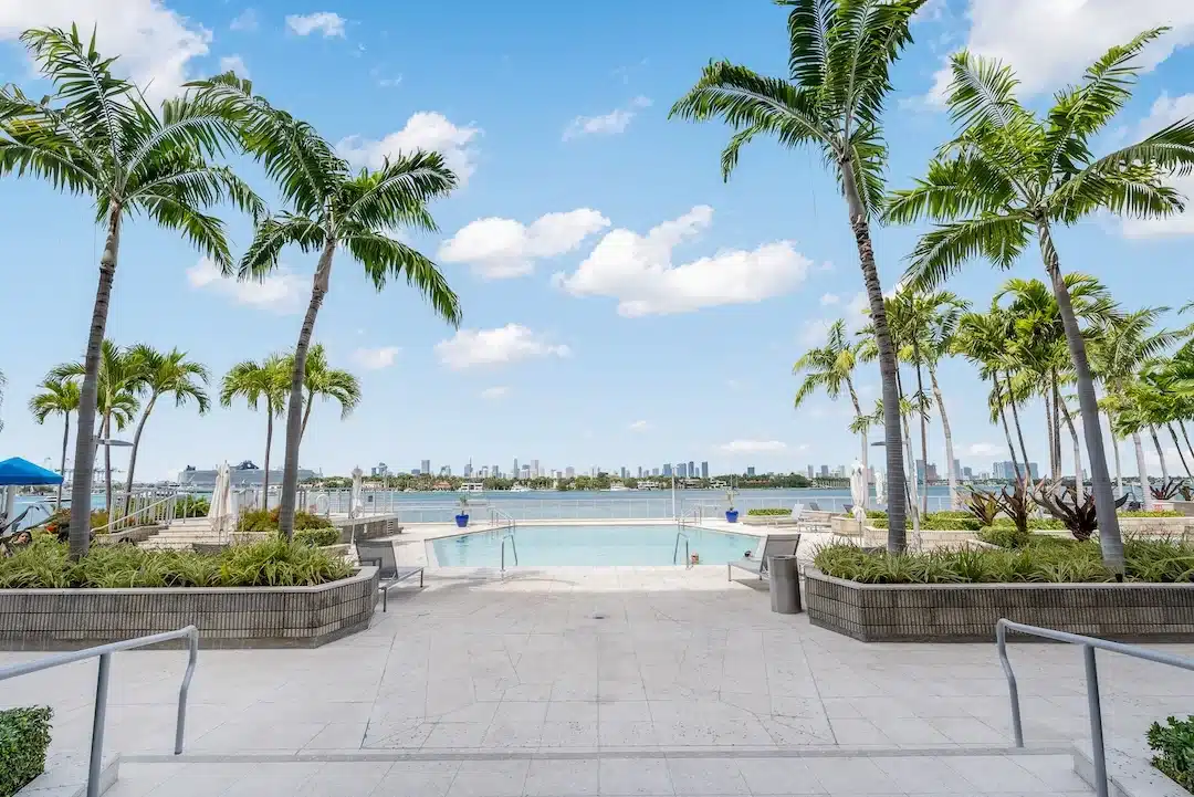 Bayfront pool in Miami Beach with palm trees and panoramic views of Biscayne Bay and the Miami skyline.