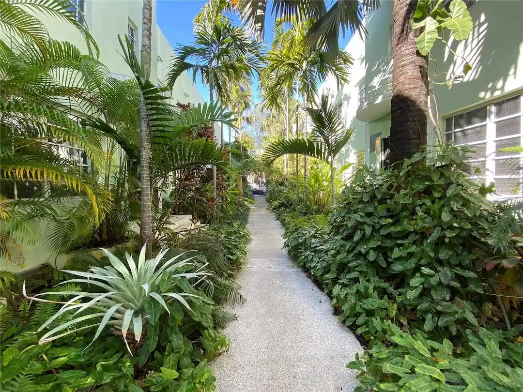 Tropical landscaped walkway between Art Deco buildings in South Beach Miami with palm trees and lush greenery.