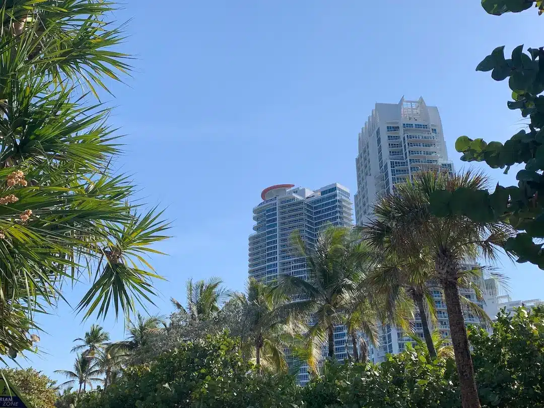 Luxury condo towers rising above palm trees in the South of Fifth neighborhood of Miami Beach.
