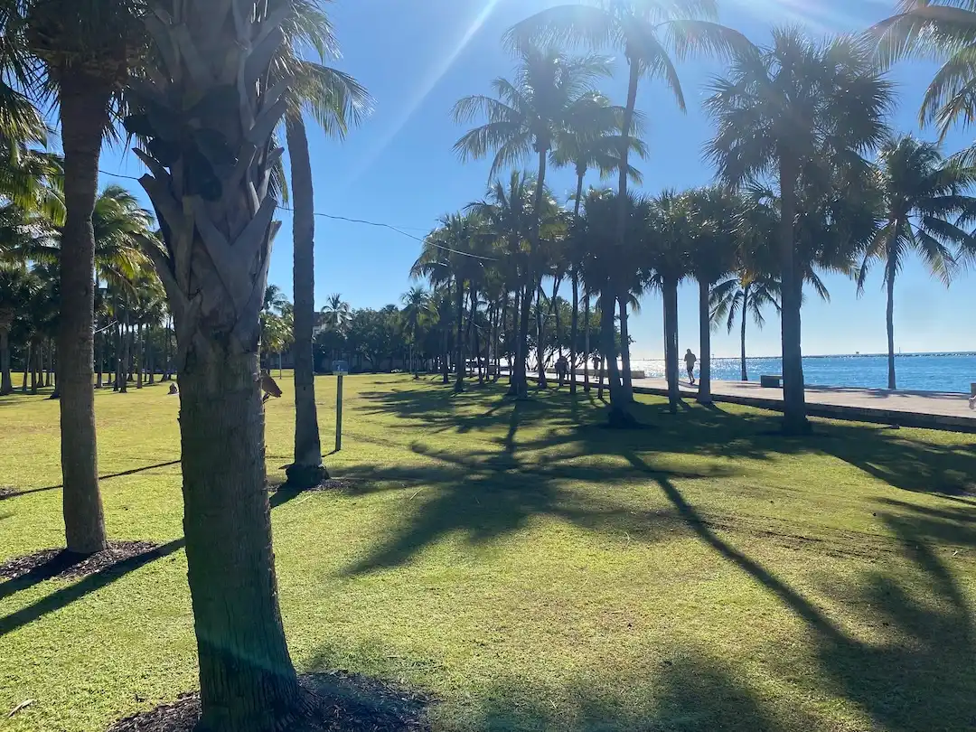 Palm trees and open lawn at South Pointe Park overlooking the waterfront in the South of Fifth neighborhood of Miami Beach.