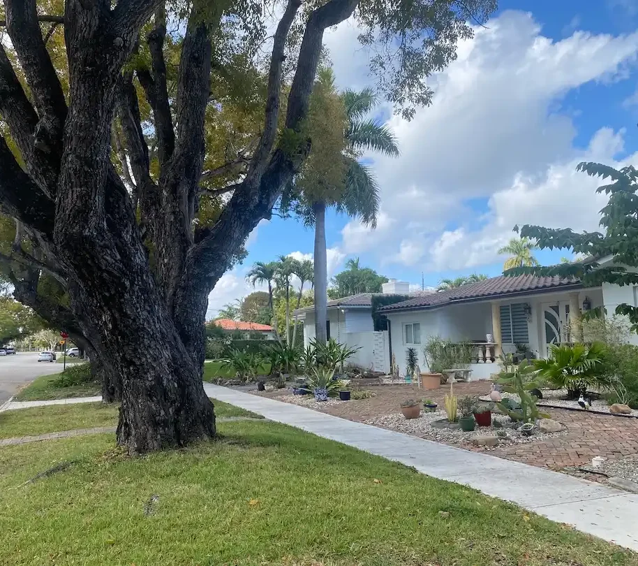 Charming residential street in The Roads Miami with mature shade trees, single-story home, and landscaped front yard.